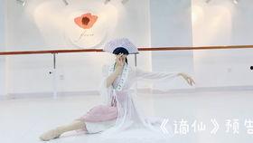 古典舞小佩仪爆料视频,独家爆料视频背后的故事